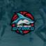 San Diego Sharks Basketball